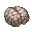 Zombie Brain.png