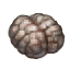 Big Zombie Brain.png